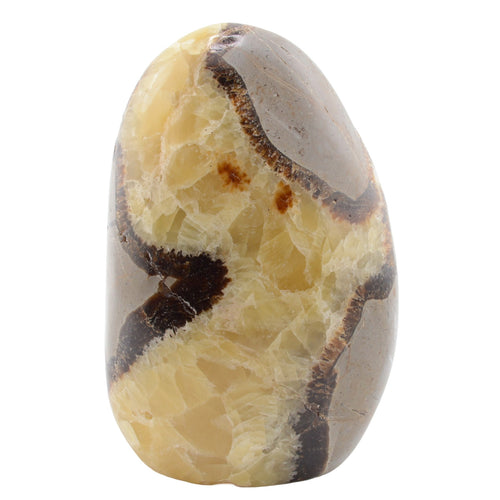 A polished decorative septarian gemstone with a rounded, pebble-like shape, featuring a marbled pattern of cream, beige, light brown, and dark brown veins, set against a plain white background.