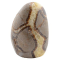 A polished septarian gemstone with dark brown veining, photographed against a plain white background.