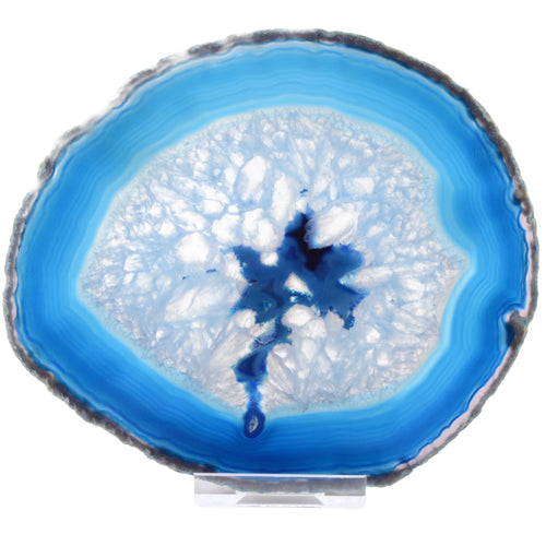 A polished blue agate geode slice with concentric bands of bright blue, white, and dark navy, displayed on a clear acrylic stand against a white background.