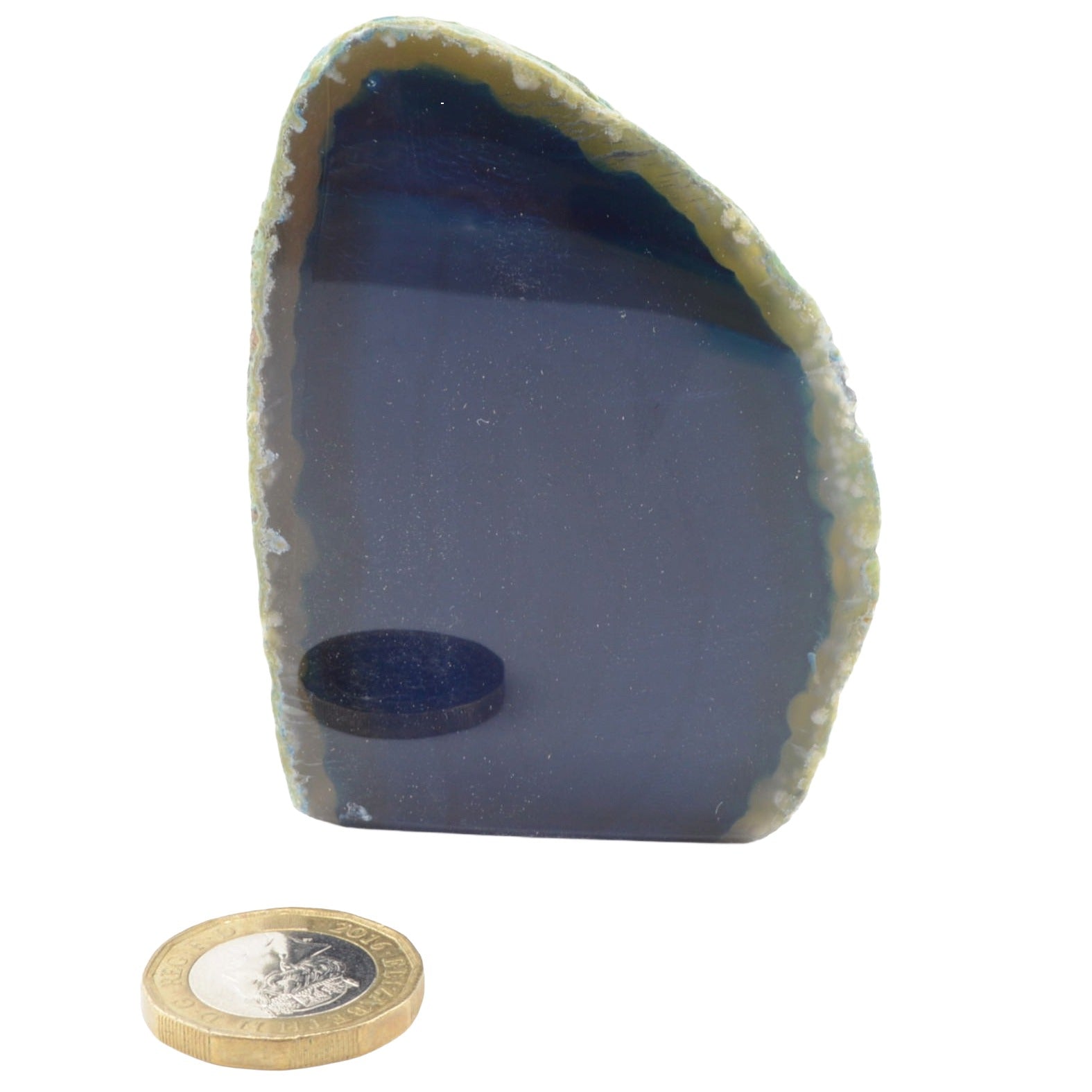 A polished natural agate with a deep blue-gray interior and a rough, textured light greenish-beige outer rind, shown on a white background with a coin below for scale.