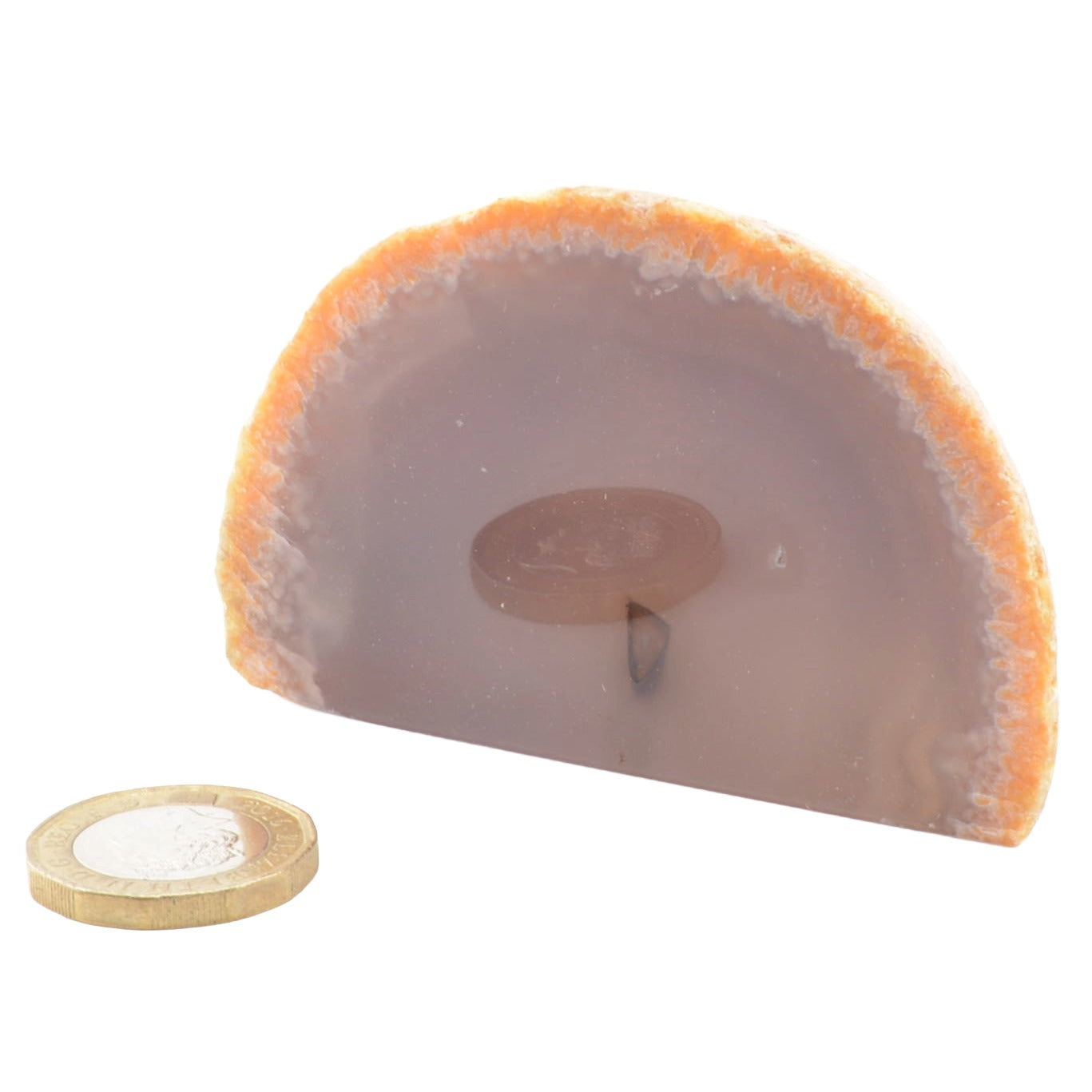 A polished semi-circular agate stone nodule with a frosted lavender-gray center and bright orange crystalline edges, shown on a white background with a small coin for scale.