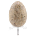 A polished natural fossil stone egg featuring intricate brown and beige fossil inclusions, displayed on a clear plastic stand against a white background.
